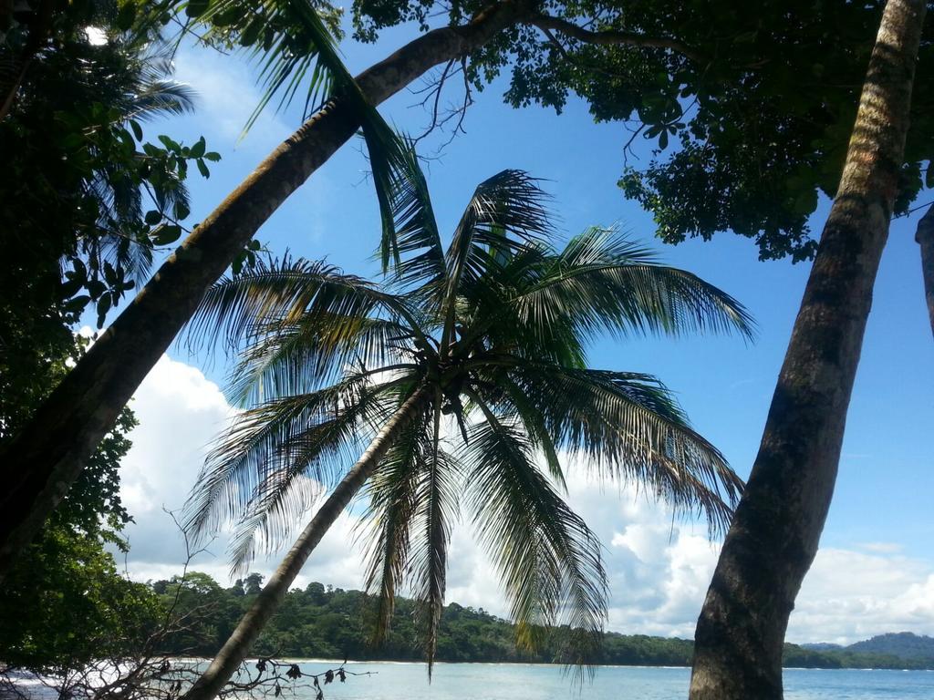 Mar Verde Lodge Puerto Viejo de Talamanca Luaran gambar