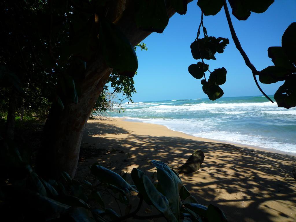 Mar Verde Lodge Puerto Viejo de Talamanca Luaran gambar