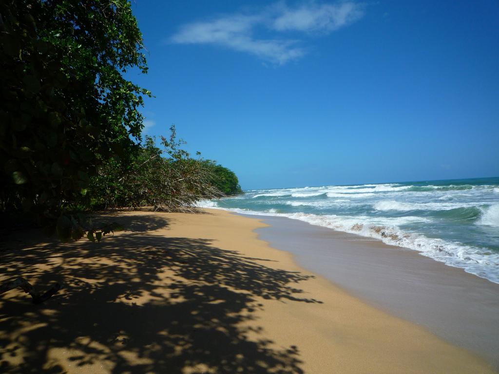 Mar Verde Lodge Puerto Viejo de Talamanca Luaran gambar