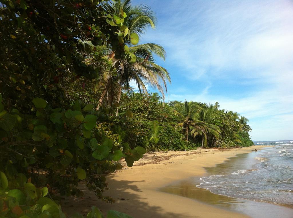 Mar Verde Lodge Puerto Viejo de Talamanca Luaran gambar