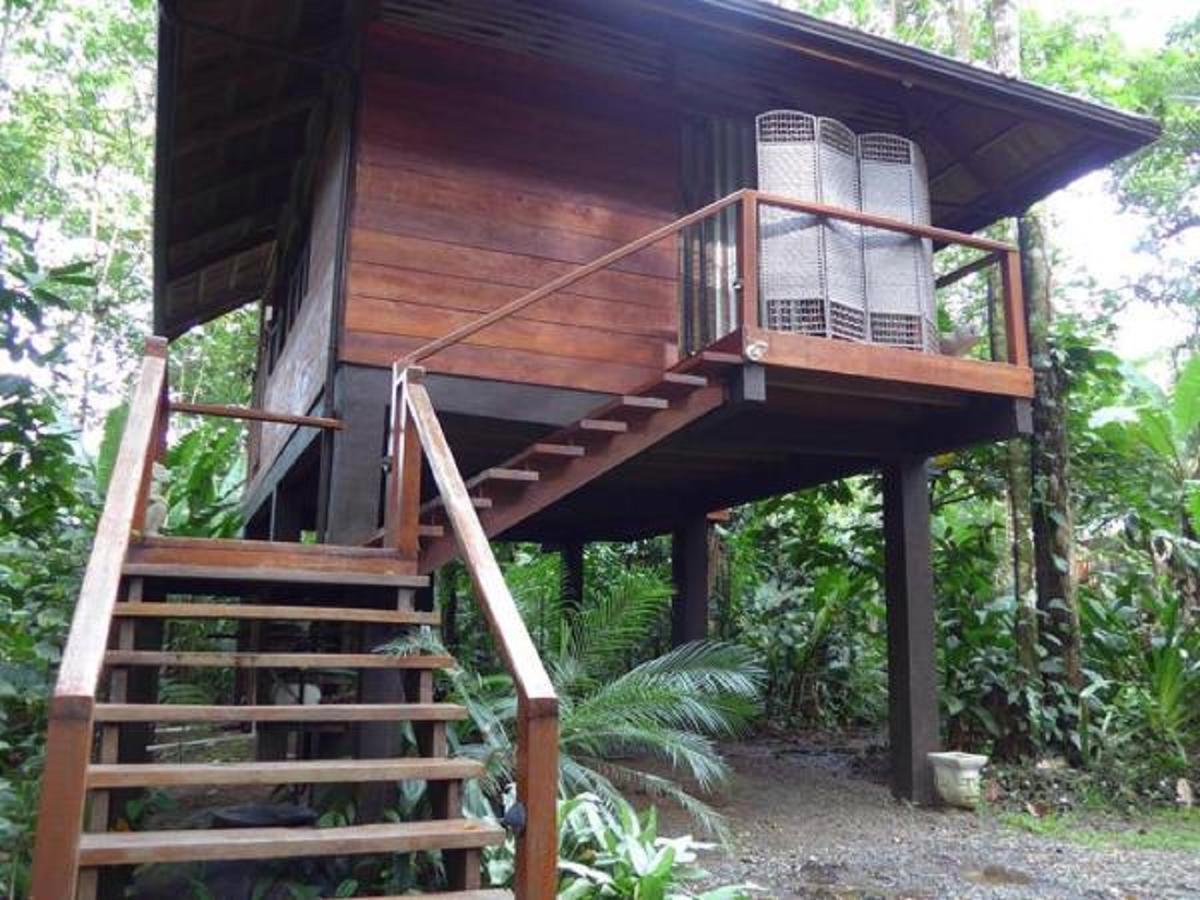 Mar Verde Lodge Puerto Viejo de Talamanca Luaran gambar