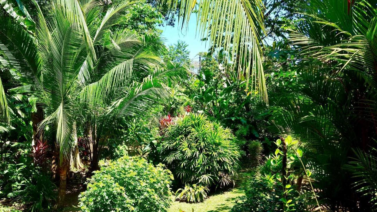 Mar Verde Lodge Puerto Viejo de Talamanca Luaran gambar